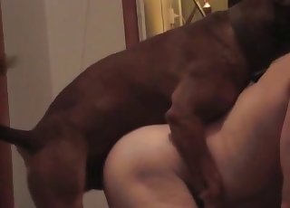 Doggy style banging for a big booty zoophile