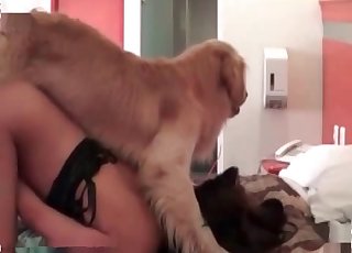 Incredible babe is having sex with her amazing retriever