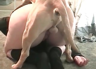 Wet pussy is being sucked by a rear end