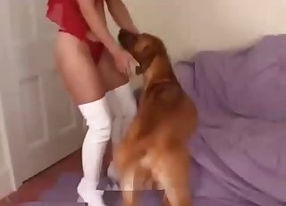 Thick chick with a mask on really loves her little doggo