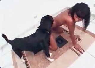 Tanned Latina seducing a black dog