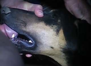 Nasty mutt getting face-fucked hard