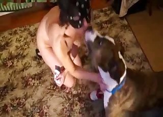 Cute dog licks her cunt in POV mode