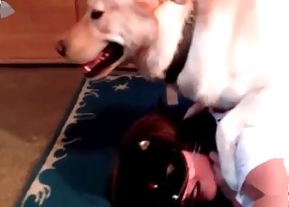 Passionate dog pounds my wife