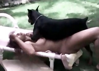 Dominant monstrous Doberman is on top of a horny zoophiliac