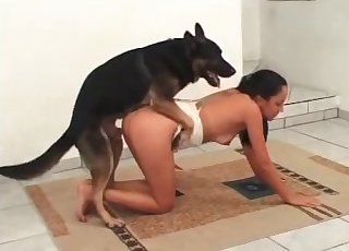 Amazing bestial action for a girl and a doggie