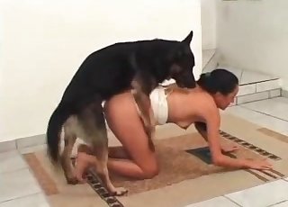 Amazing bestial action for a girl and a doggie