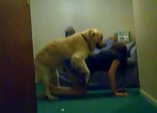 Awesome sexual action for a really large dog