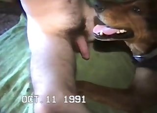 Slutty dog having all sorts of sexual delights