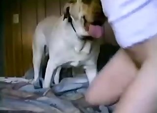 Discolored mutt cock for a human cunt