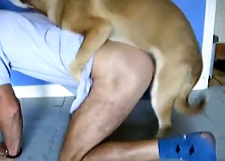 Kinky person gets some ass gobbling action from a insane dog