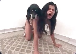Babe is getting screwed by a dog