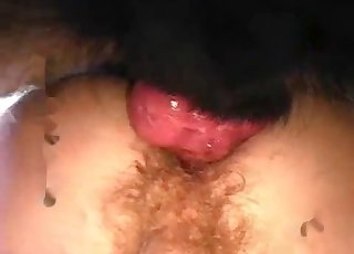 Sexy black doggy fucked his raw anal