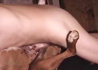 Sexy brown dog fucked hard in missionary pose