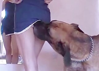 This dog is a flawless lover