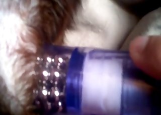 Sticking a huge dildo in a cock-squeezing dog pooper