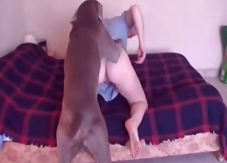 Doggy munches a good wide-opened cunt