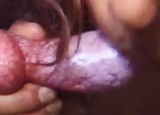 Awesome chick is sucking tasty doggy dick