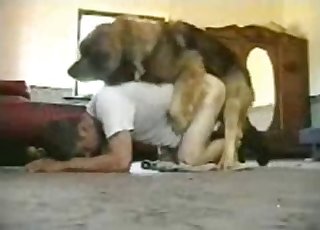 On all fours, waiting for dog's cock