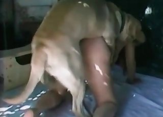 Hund frau fick Frau erlebt