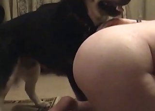 Dude gets a assjob from his dog