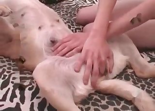 Slim slut gets totally obliterated by a hot hound