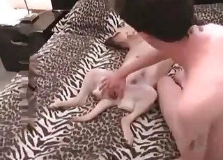 Slim slut gets totally obliterated by a hot hound