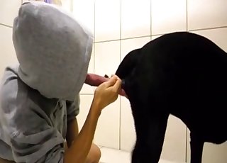 Black dog gives in to seduction