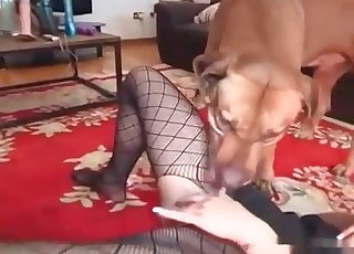 Fancy stripped under her dog