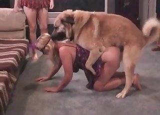 Vagina sucked by a lustful doggy