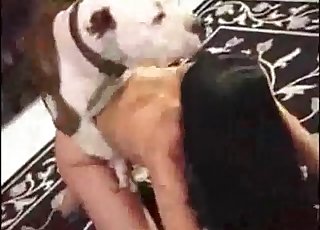 Gorgeous babe fucked by a simple mutt