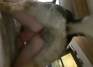 Cute man with a small cock fucked by his dog