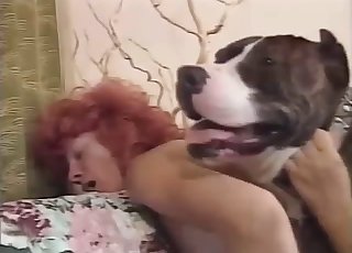 Bowwow porn including a giggly bitch and her mongrel