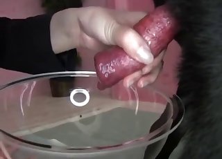 Dieses Mädchen Spielt Mit Sexspielzeug, Fickt Und Lutscht Einen Schwanz