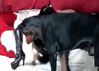 Boots-wearing beauty enjoys raw sex