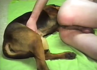Hardcore doggy nicely screwed a tight wet ass