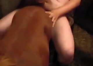 Awesome brown doggy and a passionate chick love bestiality XXX