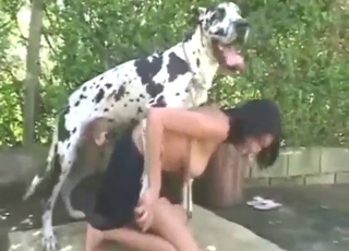 Hot and heavy zoophilic fucking with a busty gal