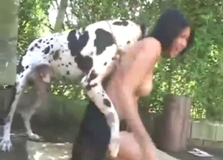 Hot and heavy zoophilic fucking with a busty gal