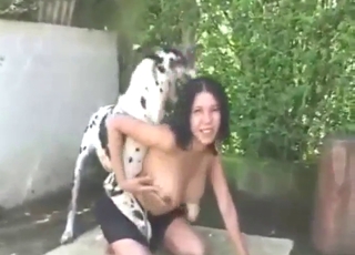 Hot and heavy zoophilic fucking with a busty gal