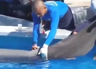 Guy enjoys hardcore dolphin jerking just for fun