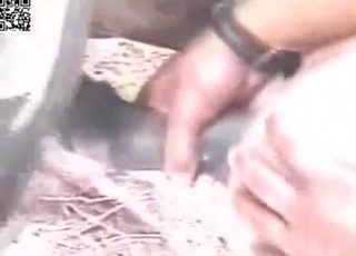 Homosexual zoo sex featuring two Latino hunks