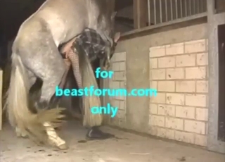 Thrusting beast is going to fuck guy from behind