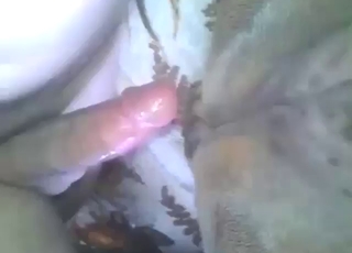 Lucky guy wants a DANE to get off with hard dick