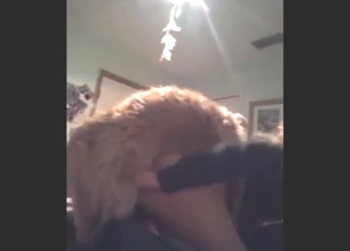 Mutt shows what it can do with a horny zoophile