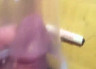 Crickets featured in hot-ass bestiality porn