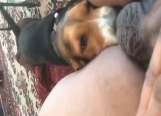Black guy's ass gets licked thoroughly by a dog