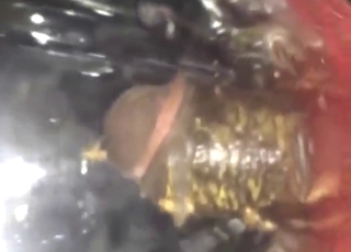 Crickets attacking unwashed black dong today