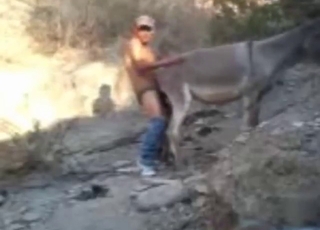 Animal gets fucked outside to great results