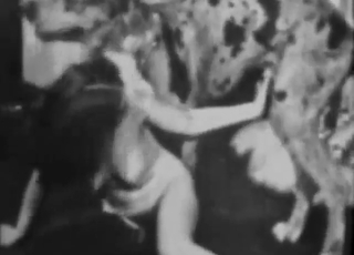 B&W zoophile classic with a hot lady taking it